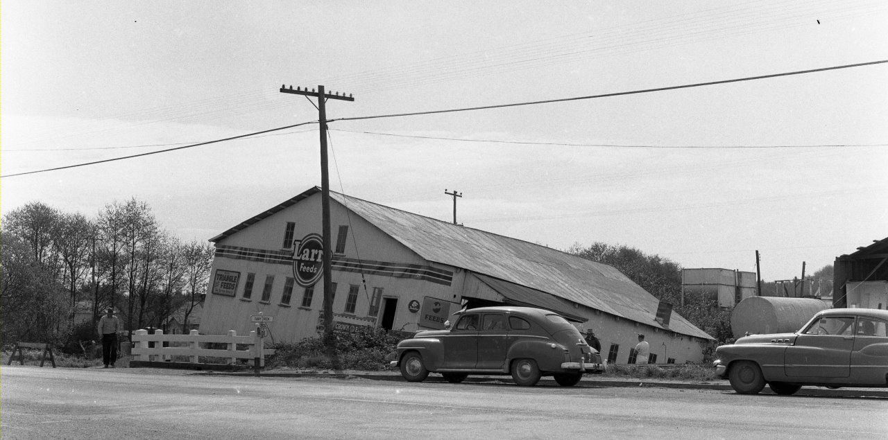 Feed store falling into Ferry Creek, 1956.